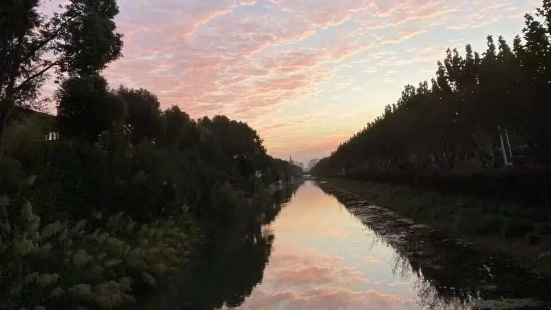 专利申请费用解析：揭秘影响价格的关键因素